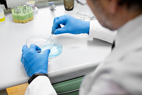 ANTIBIOGRAMA (TESTE DE SENSIBILIDADE E ANTIBIÓTICOS E QUIMIOTERÁPICOS)